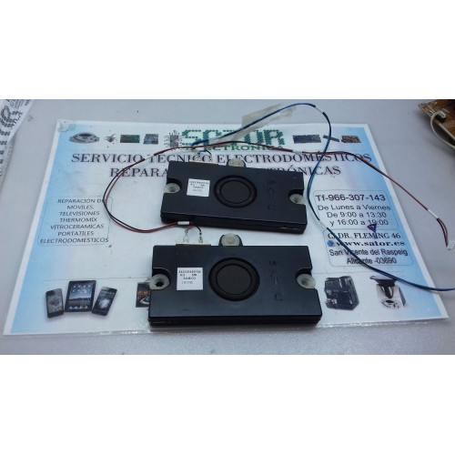 Altavoces 19IY9E 242226400754